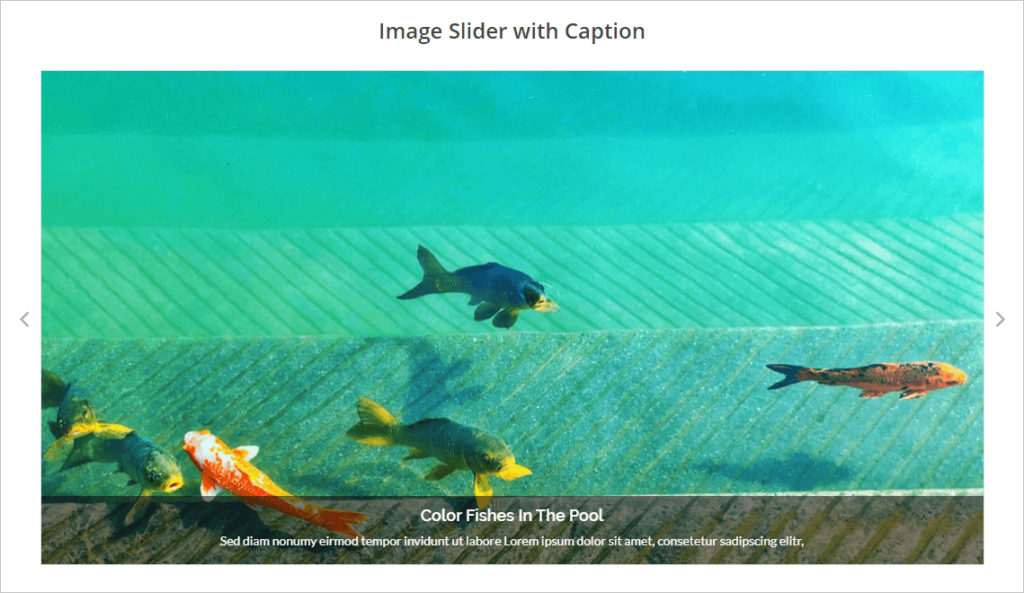 How To Create An Image Slider With Caption In WordPress