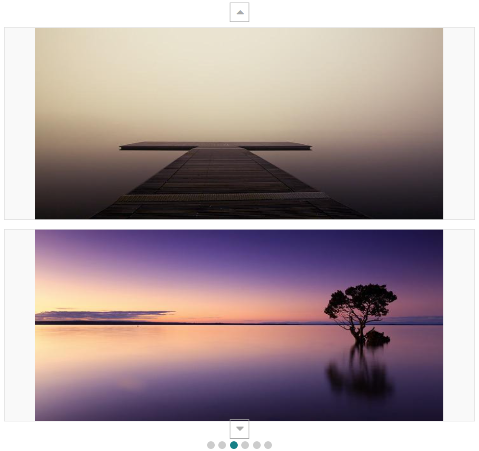 Displaying vertical slider in WordPress created by WP Carousel Pro