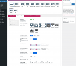 Display Settings - Basic Styles