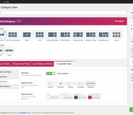 Slider Settings - Pagination